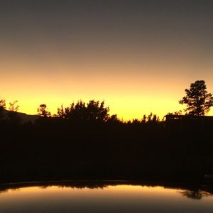 Meet your Posher, Daniela